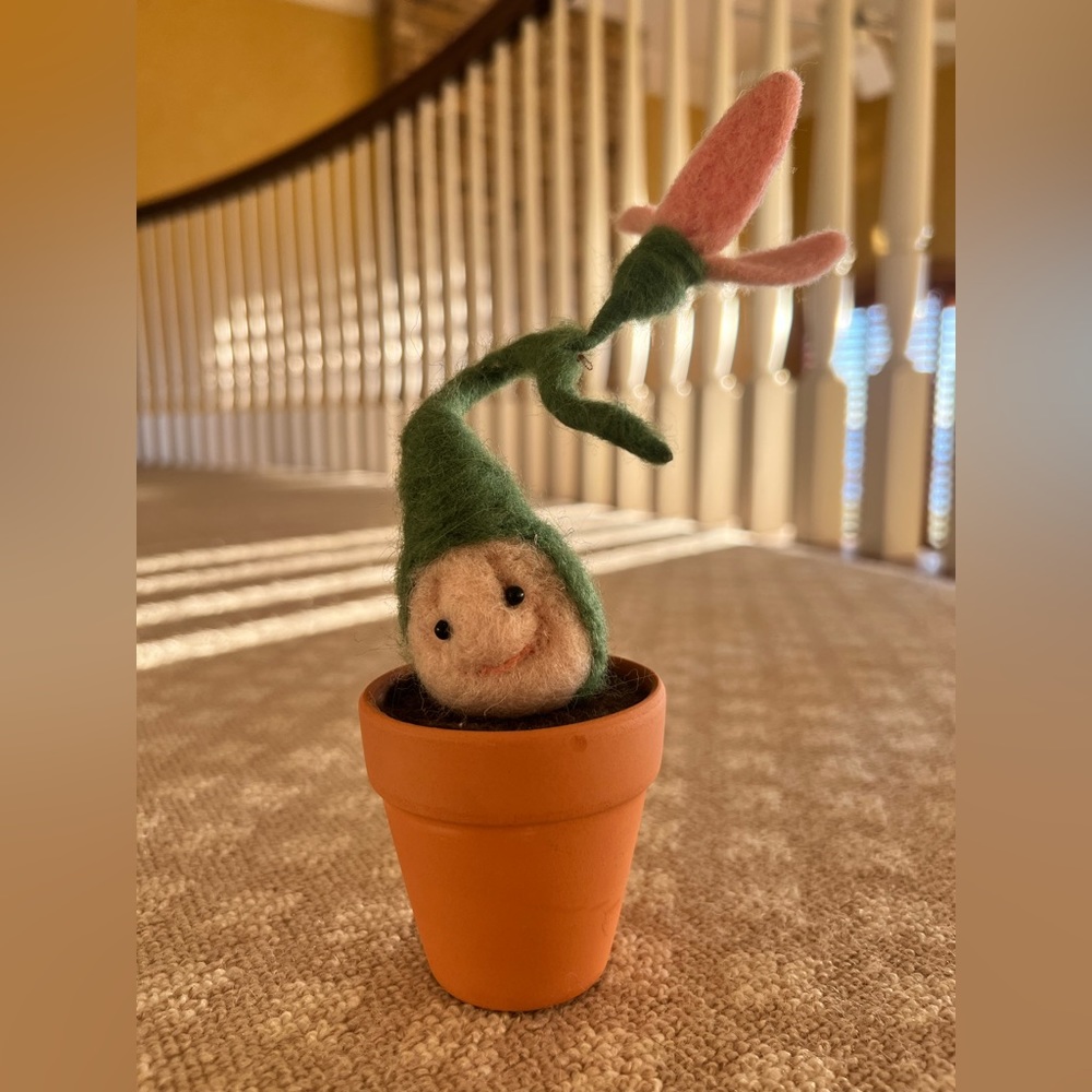 Cute flower sprout in pot home decor